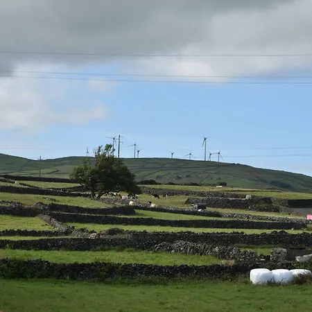 Casa Buganvilias * Sao Sebastiao