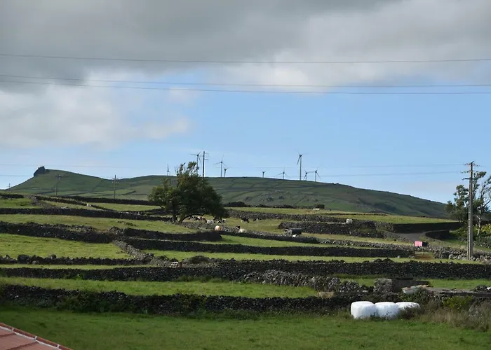 Casa Buganvilias * Sao Sebastiao